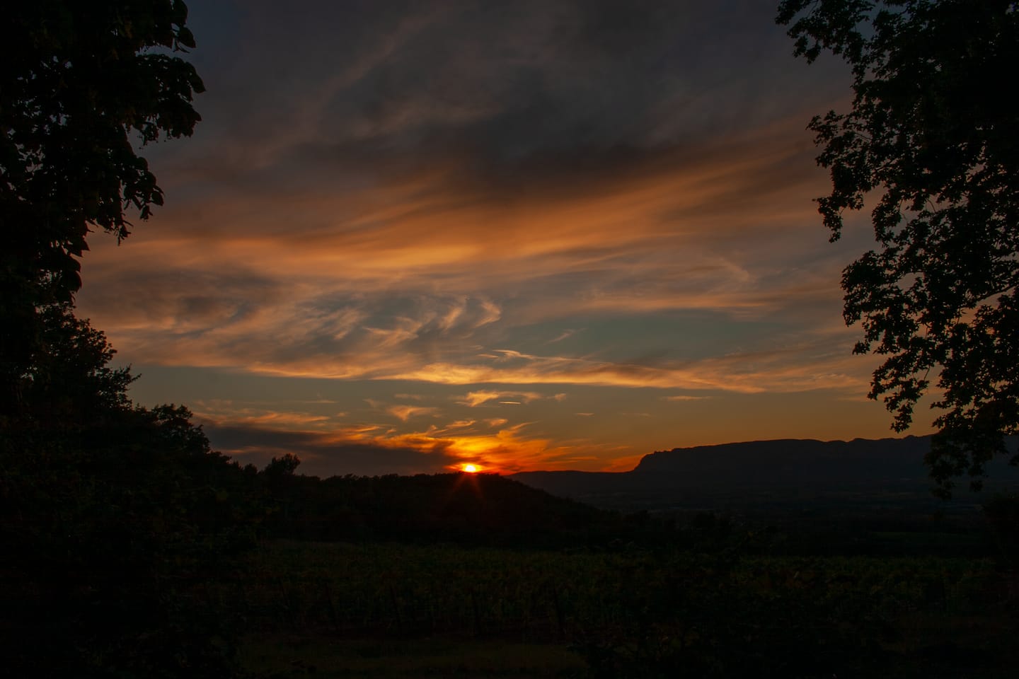 Sunset over the Sainte-Victoire from the estate