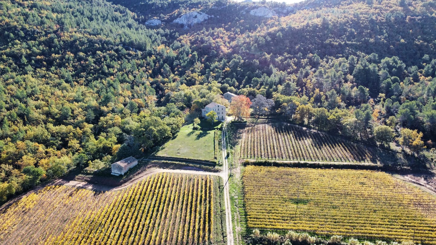 Aerial view of the bastide between vineyards and woodland