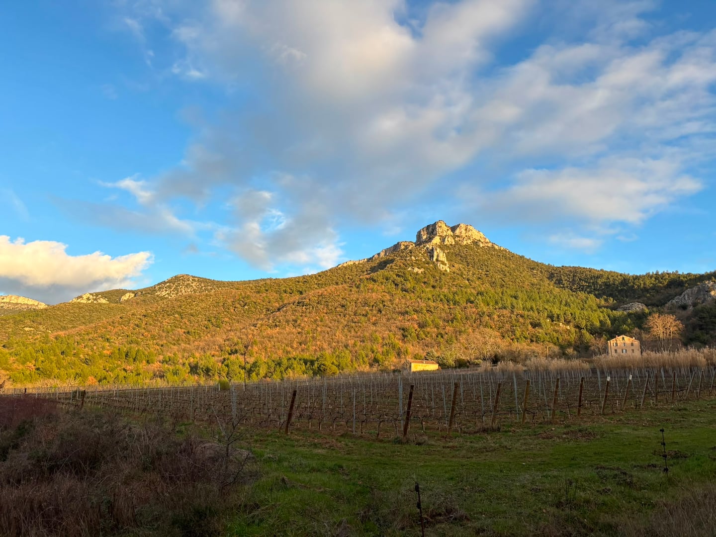 Mont Olympe rising above the estate